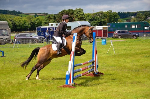 A person on a horse jumping over a hurdle