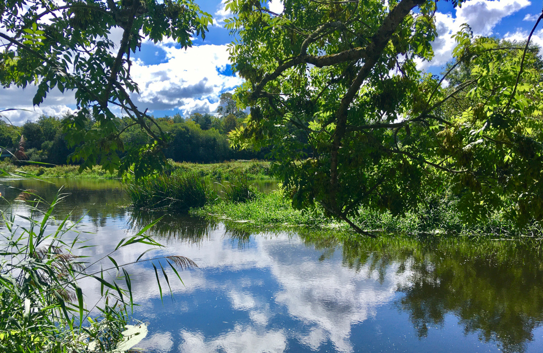 River Stour at Wimborne Minster